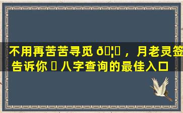 不用再苦苦寻觅 🦟 ，月老灵签告诉你 ☘ 八字查询的最佳入口！